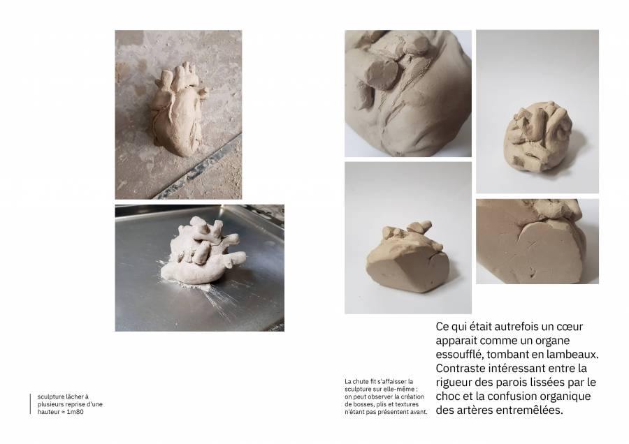 presentation_hasard13.jpg presentation_hasard13.jpg