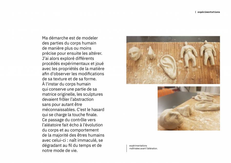 presentation_hasard2.jpg presentation_hasard2.jpg